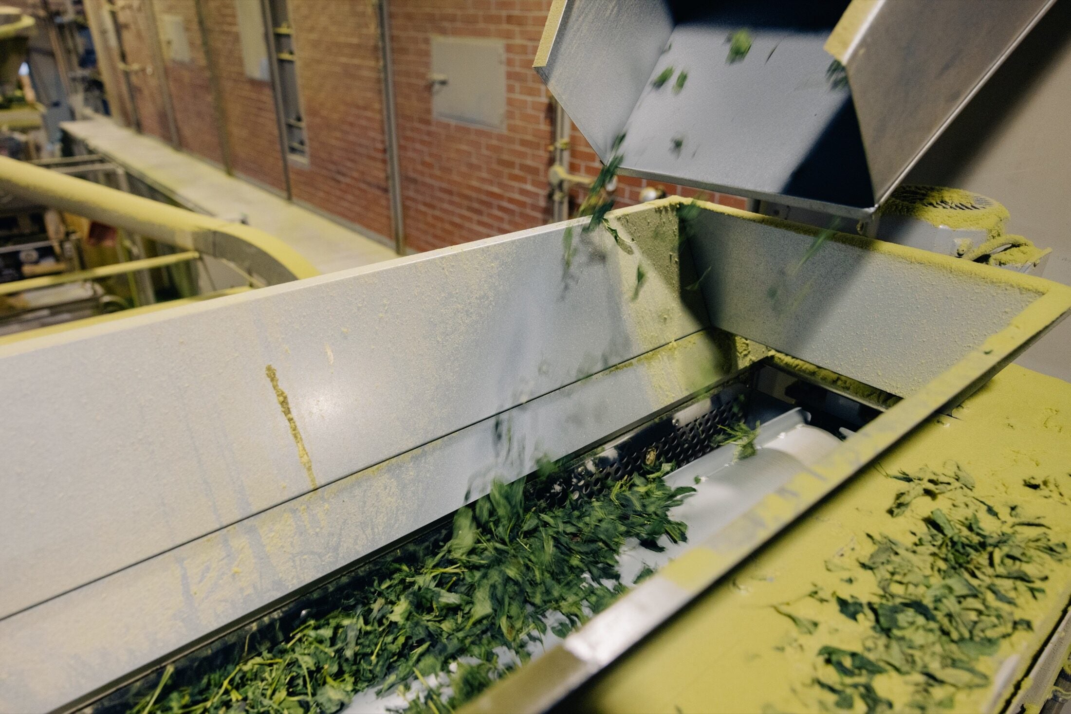 Tencha drying machinery