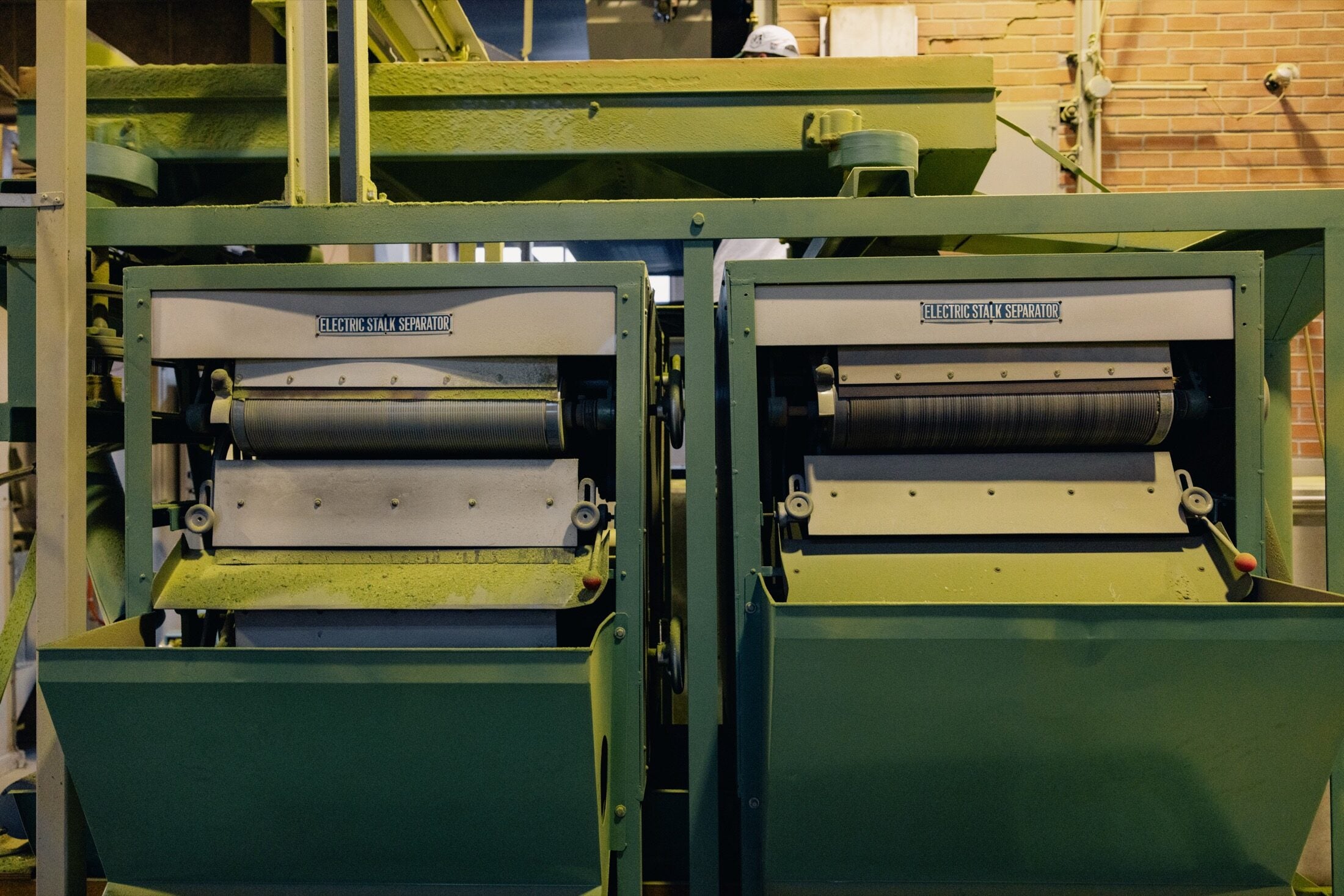 Cutting and sizing line