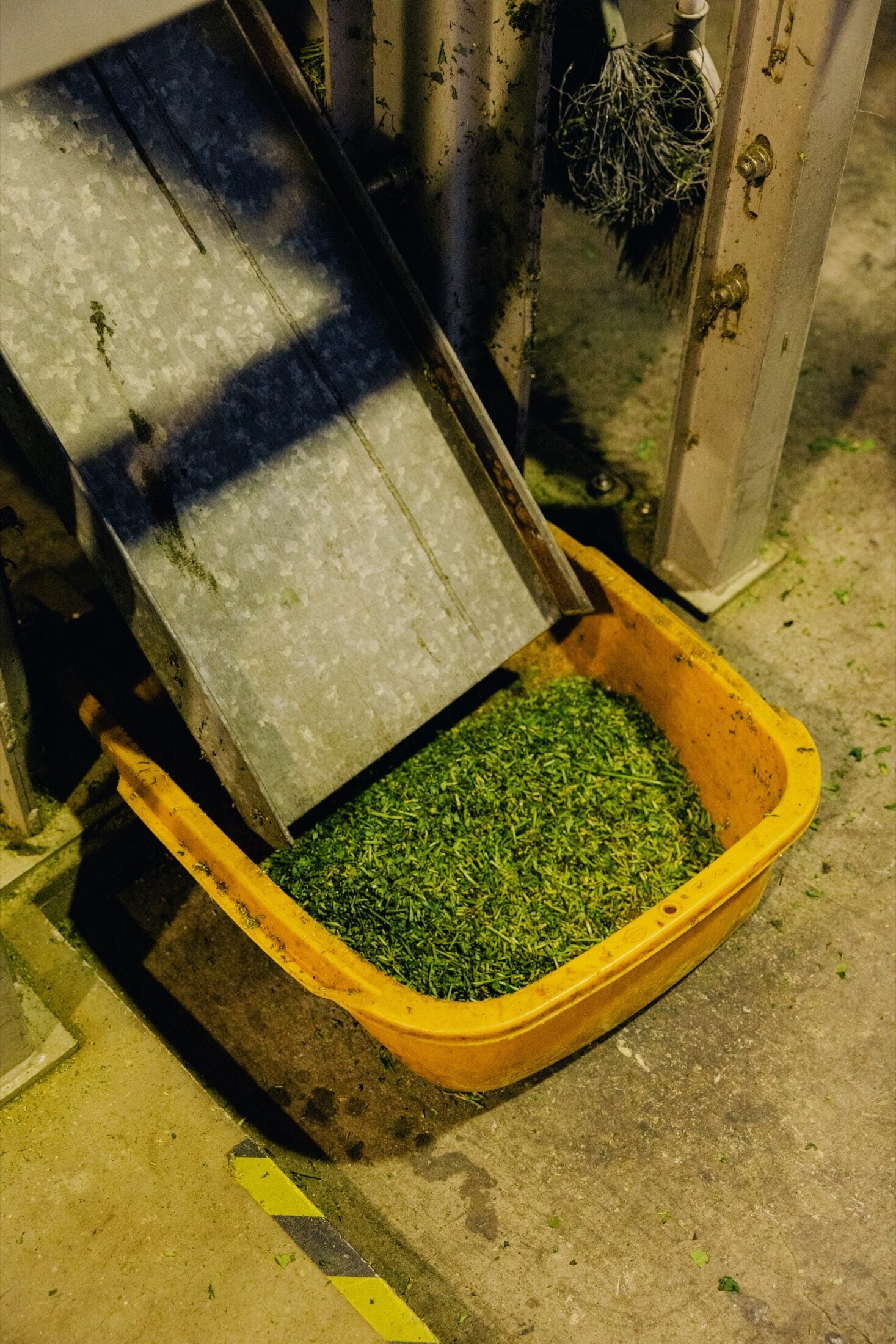 Steaming equipment used for tea leaves
