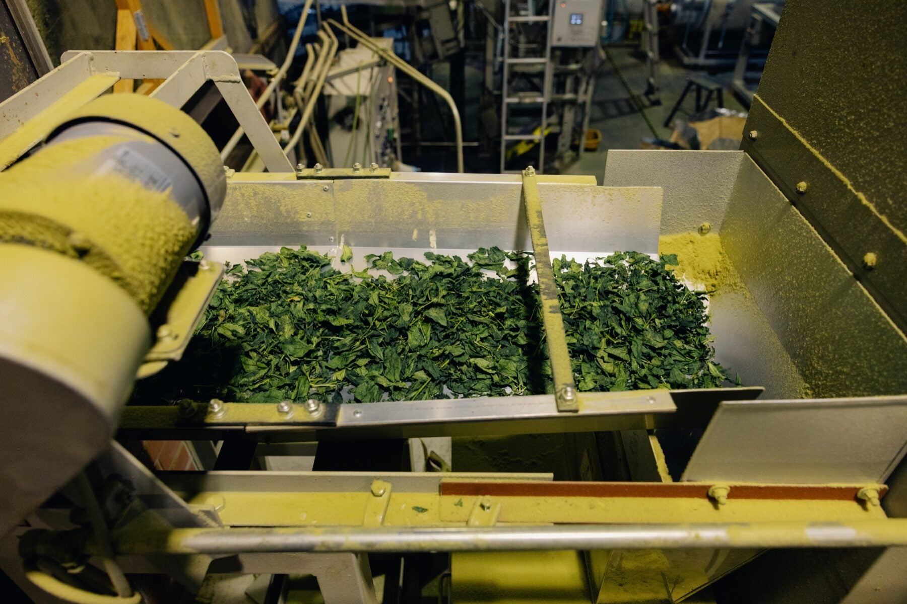 Tea processing equipment control area