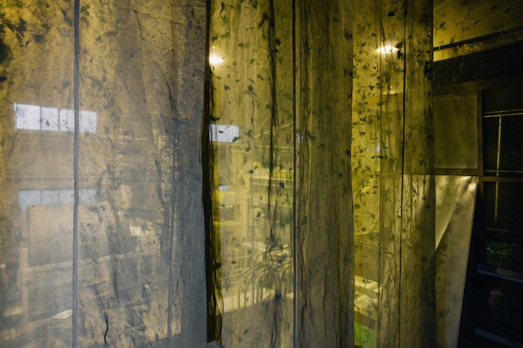 Tea processing line